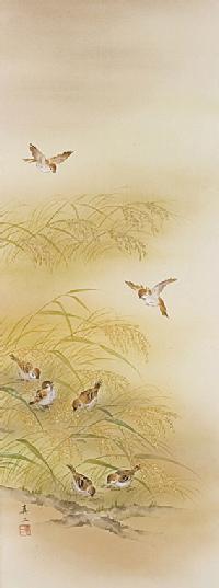 稲穂に雀 藤沢真二 （尺五立）肉筆！ 秋 - 掛け軸（掛軸）販売通販なら