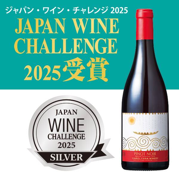 お酒】ピノ・ノワール スペシャル セレクション 2024 ボックス入り