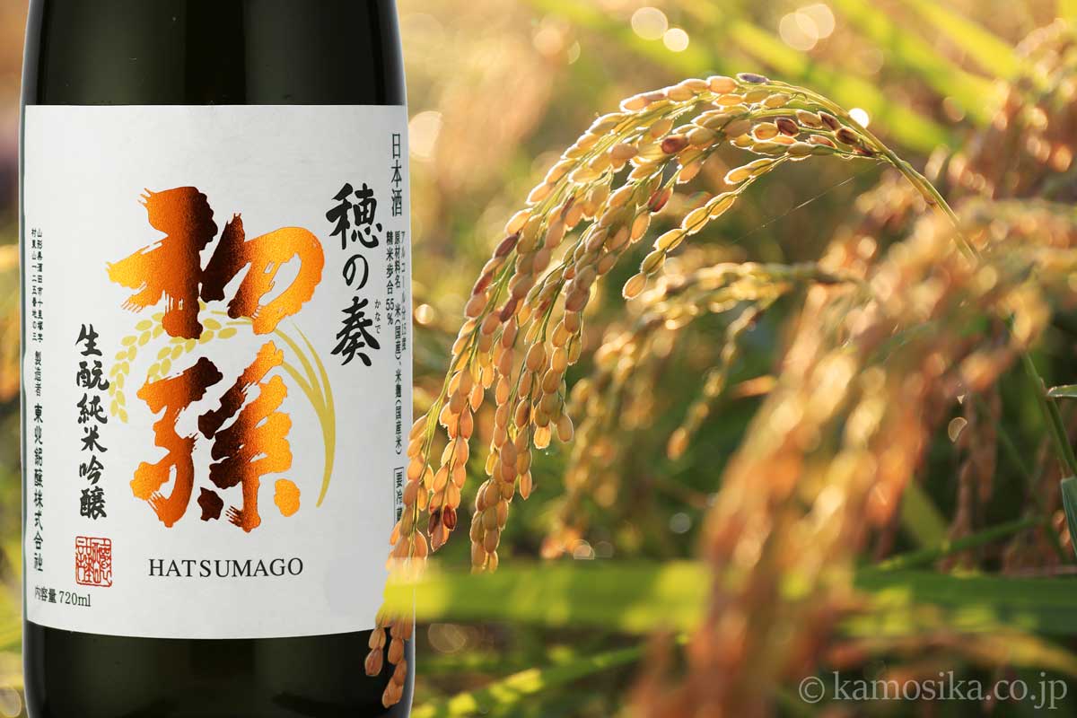 初孫 穂の奏 生もと純米吟醸 生詰 1.8L （限定品） 米沢・白布温泉