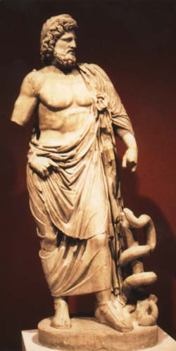 アスクレピオスの杖の蛇