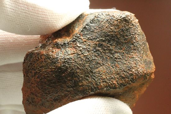 1960年10月オーストラリアに落下した隕石 ユークライト Polymict