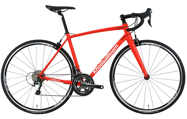 FARNA TIAGRA - KhodaaBloom