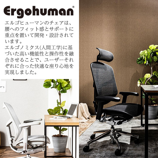 エルゴヒューマン エンジョイ2 ロータイプ ブラックフレーム 可動肘