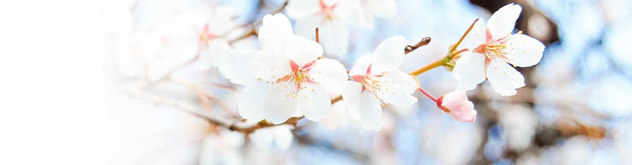 合格体験記 | 高等進学塾 東京医進館 医学部専門塾 大阪