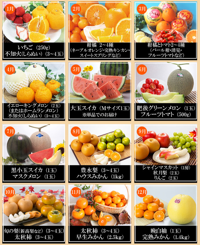 フルーツ定期便 詰合せ 6ヶ月コース - 熊本産直センター