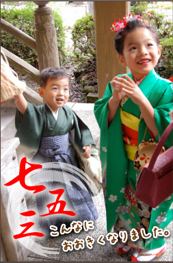 女の子 四つ身 長襦袢付 赤 七五三 113-f7355 - きもの館【久五郎】