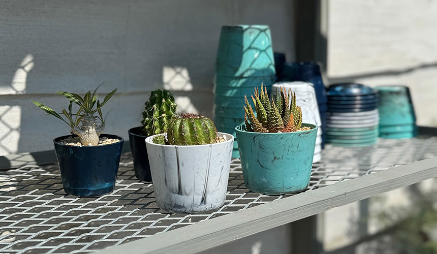 八幡化成株式会社』|Marble Garden Pot / Cup & Saucer マーブル