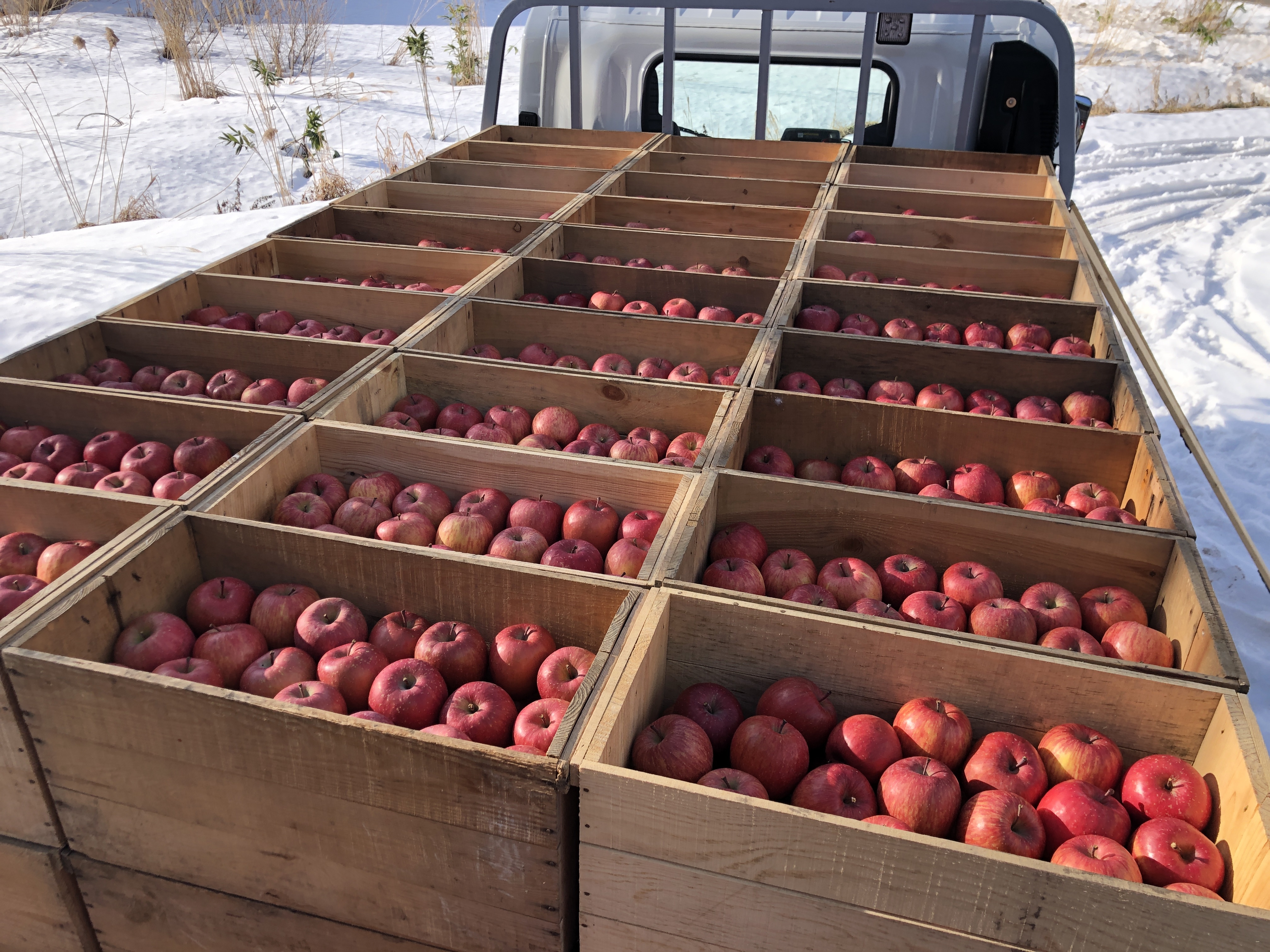 2122_1.jpg?v=1616126870985