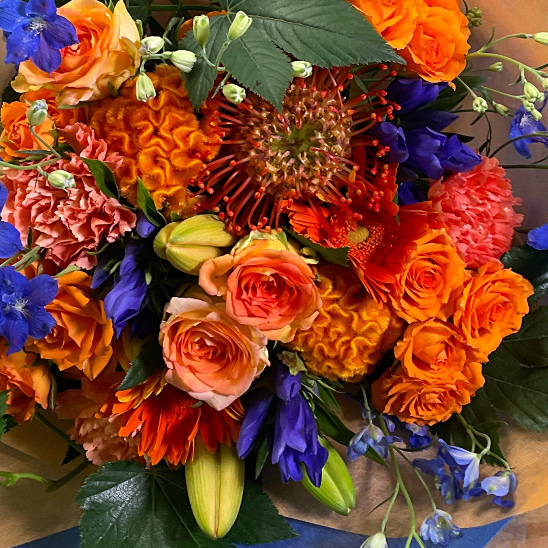 青オレンジ「フォーカス」 | 花アルバム｜お花の通販 花以想（はないも）