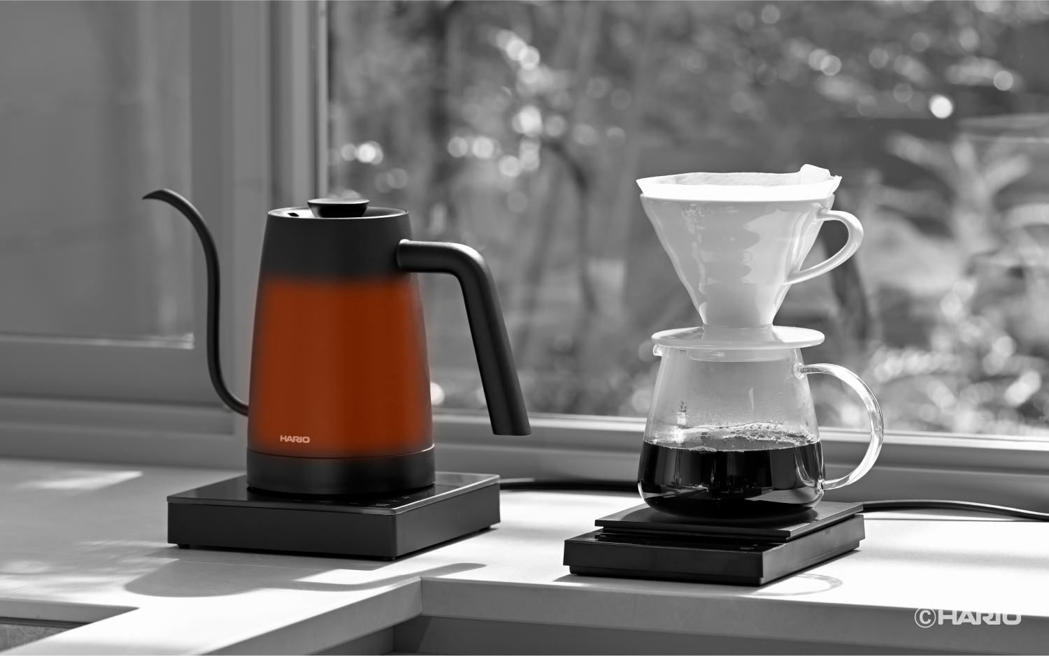 Electric Kettle Lyra｜耐熱ガラスのHARIO（ハリオ）