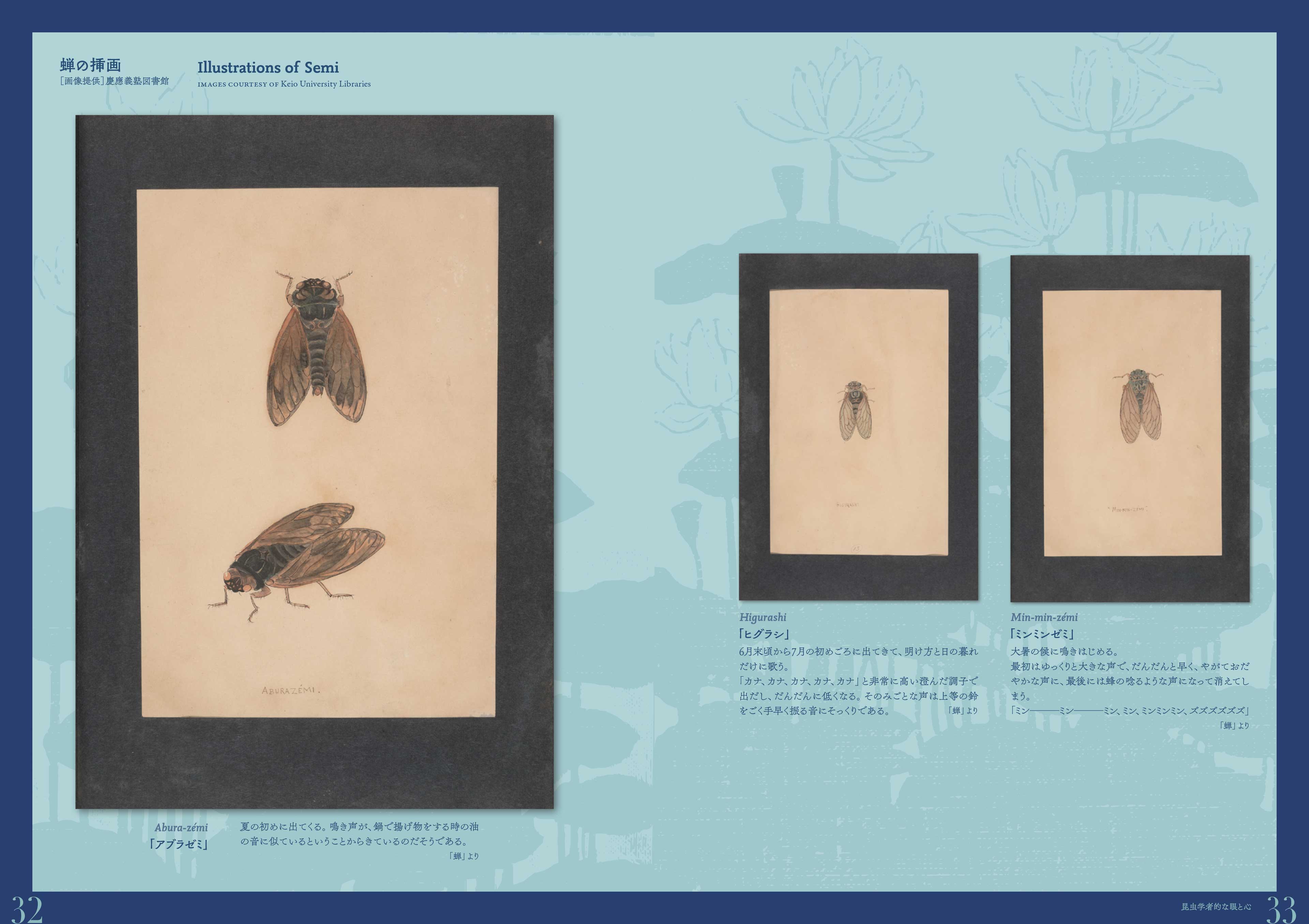 企画展図録『虫の詩 かそけきものの声音を愛す』 The Poetry of