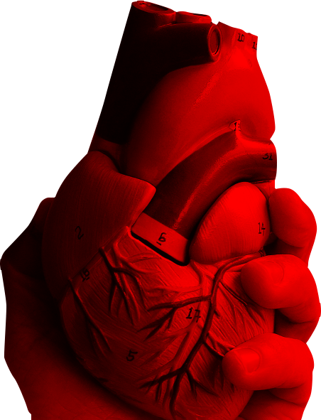 ヒトリエ 3rd Single”ワンミーツハー”特設サイト