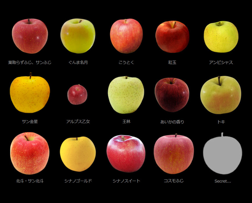 12月6・7日大阪で青森りんごの直販イベント「PLANET OF THE APPLES2