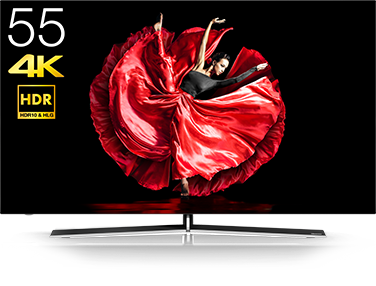 55E8000 | ハイセンスジャパン株式会社