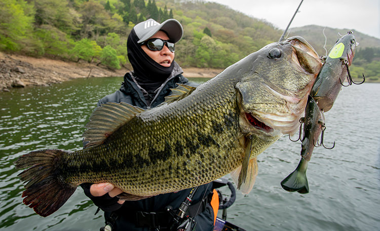 LazyHARD K.IMAE CUSTOM | IMAKATSU