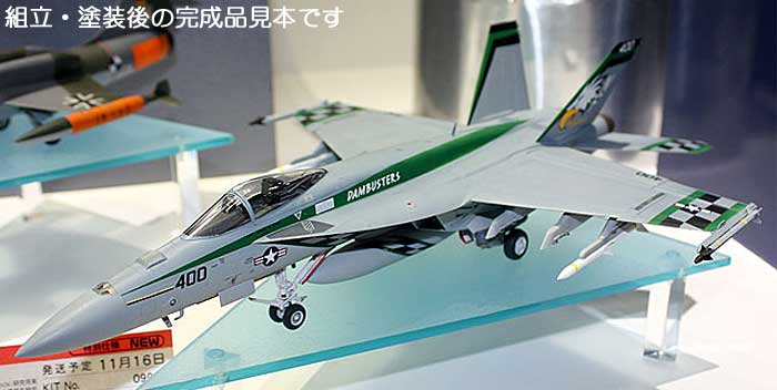 ハセガワ F/A-18E スーパーホーネット チッピー Ho 1/48 飛行機 限定