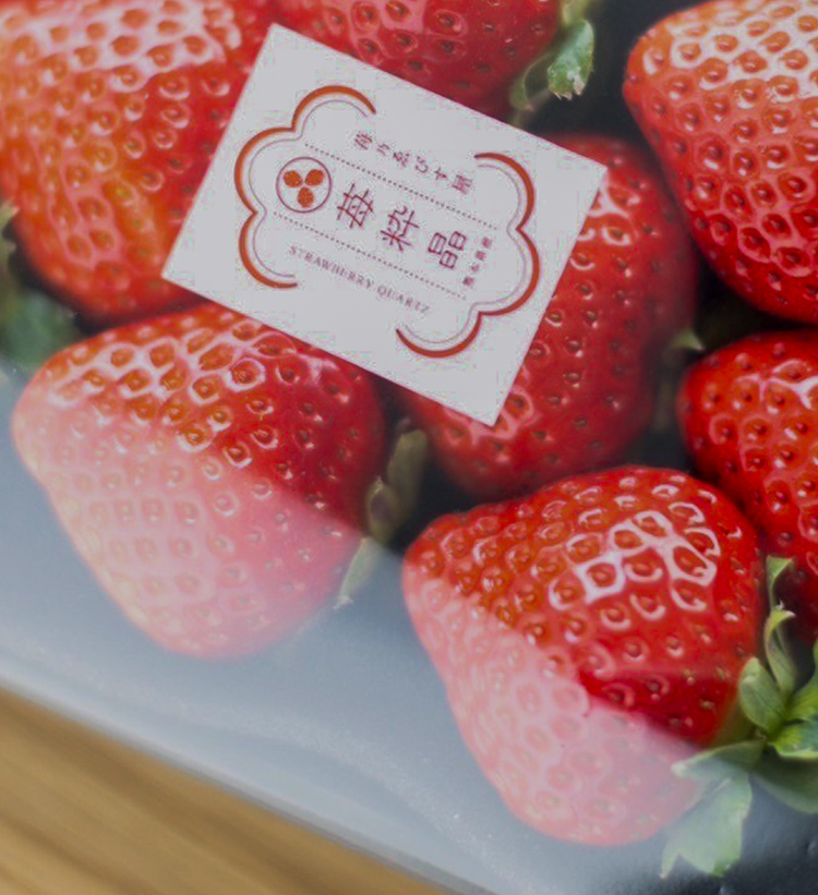 苺乃ゑびす屋｜想いを詰め込んだ愛情たっぷりのいちご