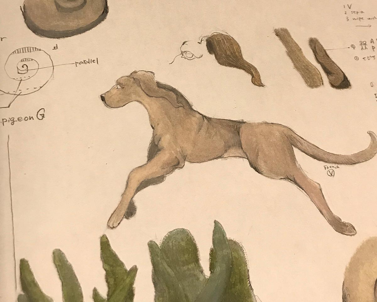 Interview with coricci｜IDEE SHOP Online