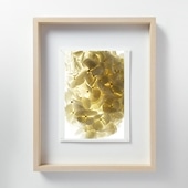 在庫限り】 山口一郎 「HANA-head-gold」｜これまでに販売した商品