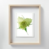 在庫限り】 山口一郎 「HANA-head-gold」｜これまでに販売した商品