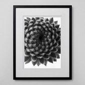 定番品】ル・ブアン・ベニ 「BEN558」ブラックフレーム｜ポスター