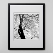 定番品】 アンリ・マティス 「低木」ブラックフレーム｜ポスター｜IDEE