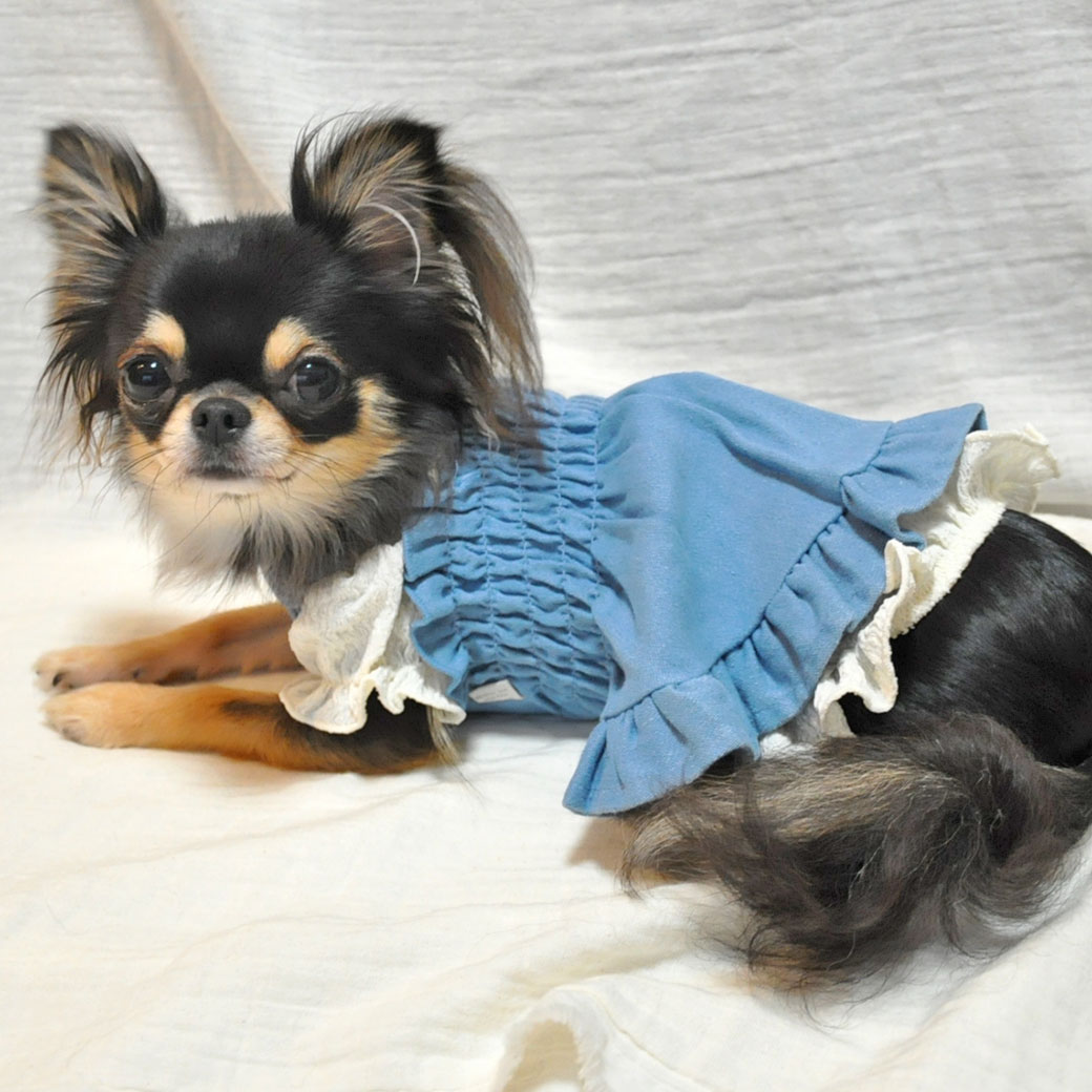 iDog フリルブラウス iDog fleur アイドッグ-犬猫ペット用品通販