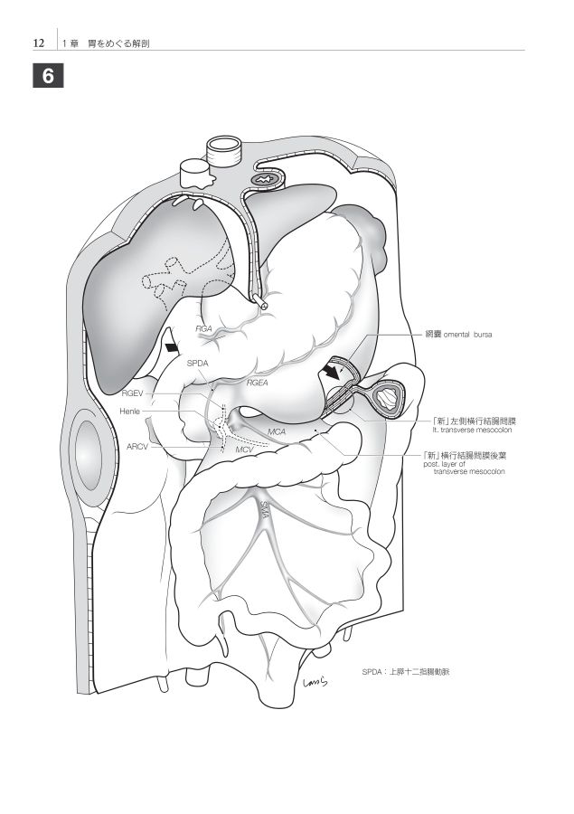 イラストレイテッド外科手術第3版_立読み