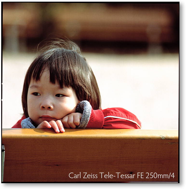 テレテッサー250mm！ / ストックホルムの空を見上げて