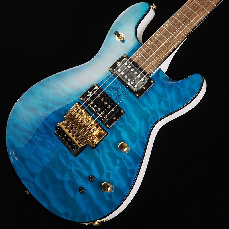 FERNANDES】イケベ・オリジナルで実現！スノーホワイトバック