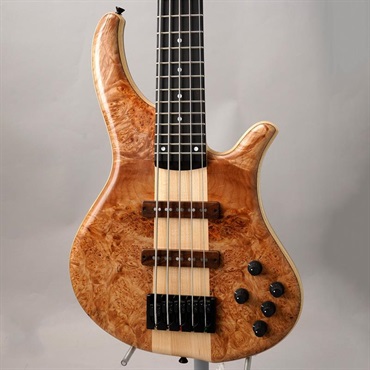 Phoenix PH9-5 Burl Maple ｜イケベ楽器店オンラインストア