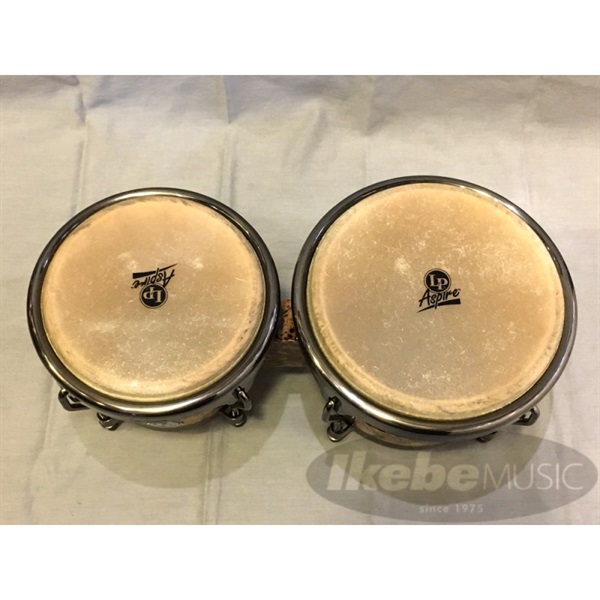 LP LPA601-HC [Aspire Bongo Havana Cafe] ｜イケベ楽器店オンラインストア