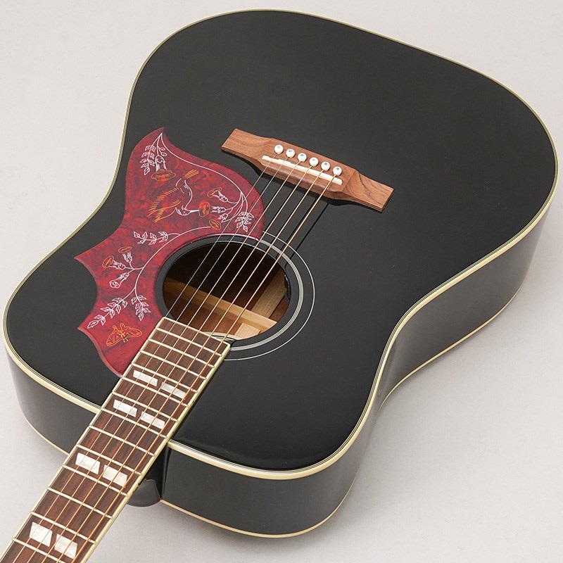 Epiphone Hummingbird Studio(Ebony) エピフォン ｜イケベ楽器店