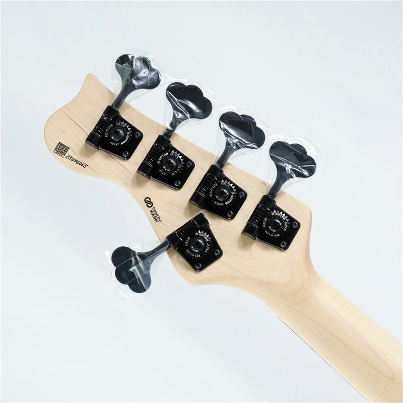 Freedom Custom Guitar Research O.S. Anthra 5st Active Alder