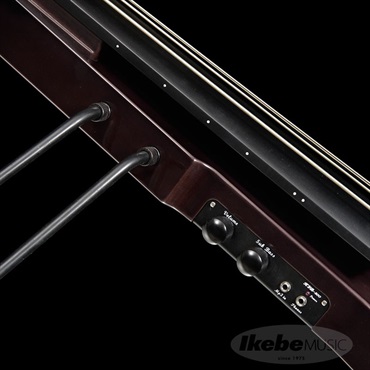 Hallstatt WBSE-1000 (TBK) [アップライトベース] ｜イケベ楽器店