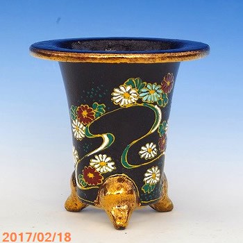 山野草の石田精華園 / 万年青錦鉢(長生蘭錦鉢)