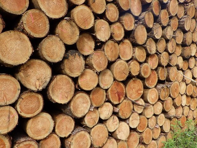 ナラ100％ 薪 ピュアオークデラックス約120kg 約20kg×6箱 | 薪販売