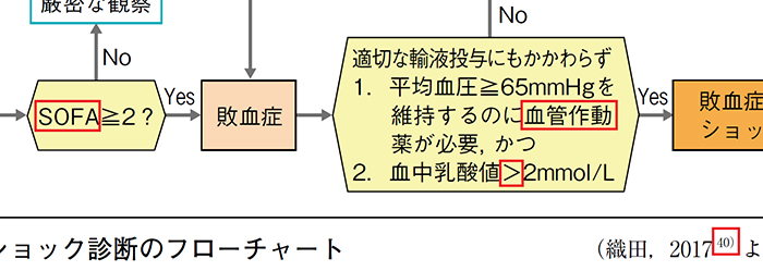 口腔外科学 第4版 正誤表／補足情報／医歯薬出版株式会社