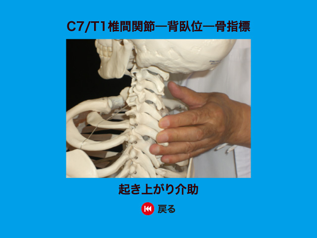 製品サンプル：DVD版 関節神経学的治療法（ANT）／医歯薬出版株式会社