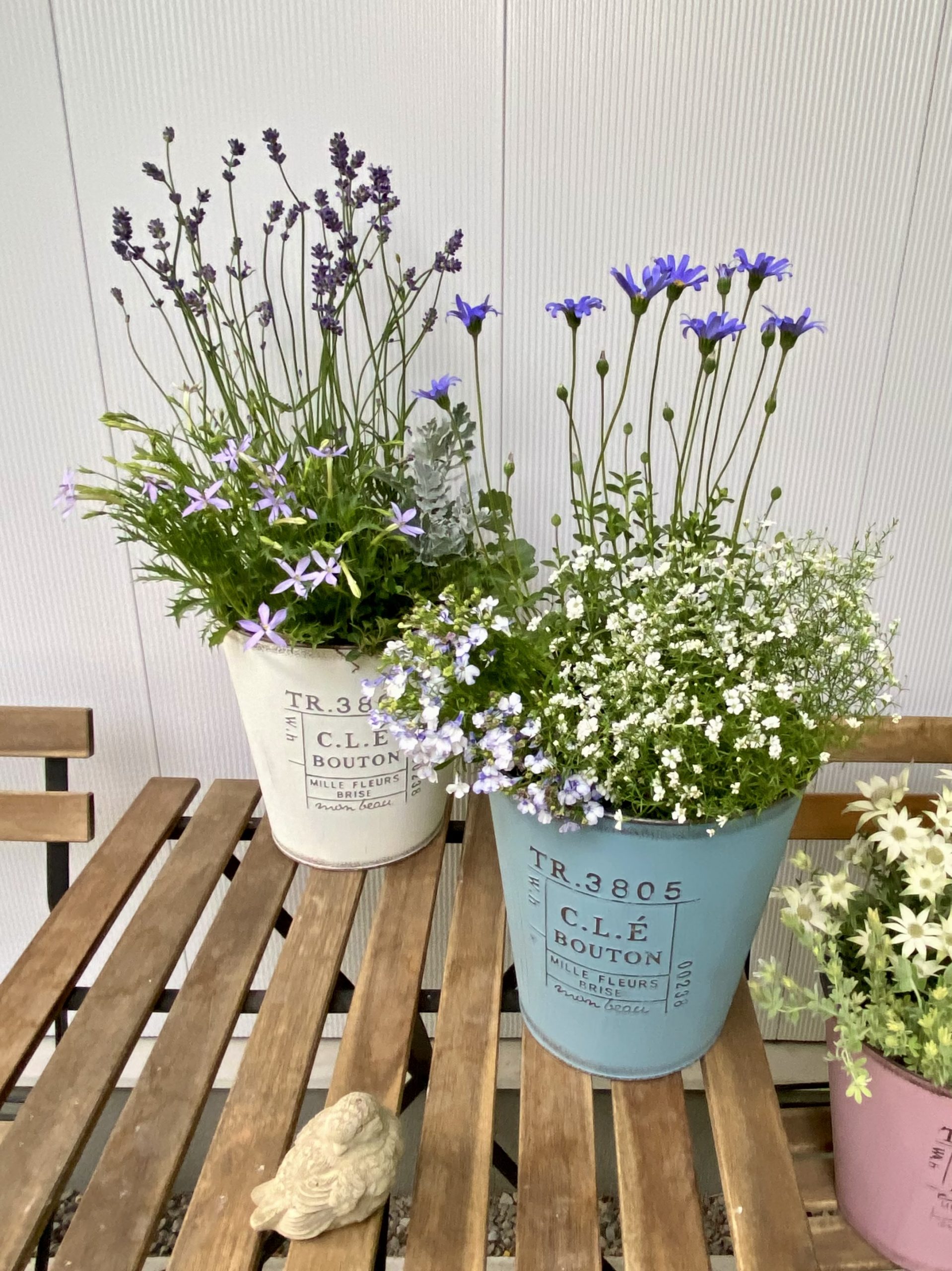 ブリキポットの寄せ植え作り | イベント | ジョンソンホームズ