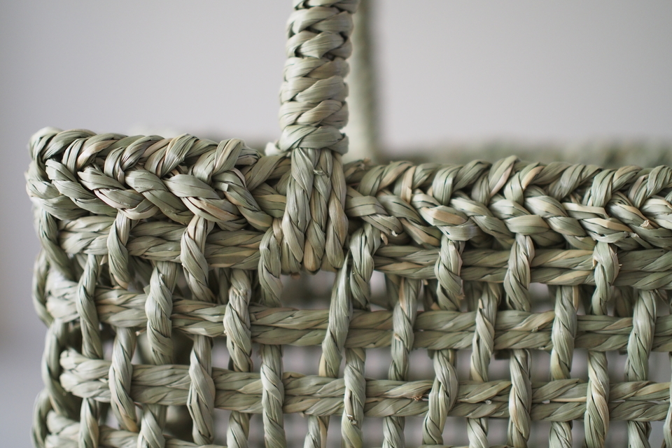 須浪亨商店 いかご - ウェブショップ - jokogumo - よこぐも