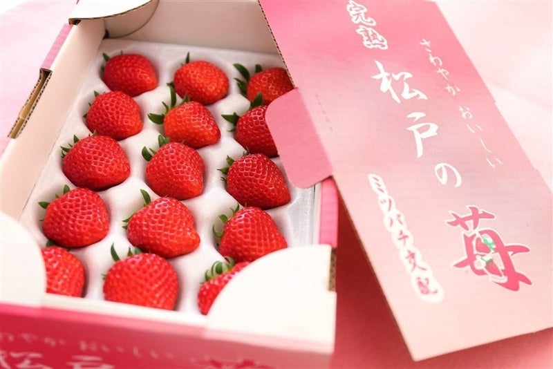 完熟” 松戸の苺 やよいひめ【2箱】: JA全農ちば 愛情いちばん館