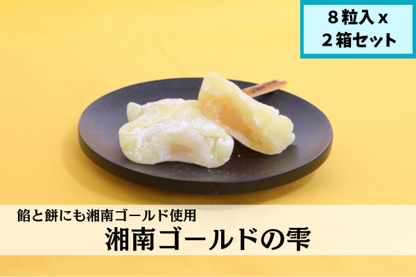 湘南ゴールドの雫（8個入×2箱）: JA全農かながわ|【JAタウン】産地