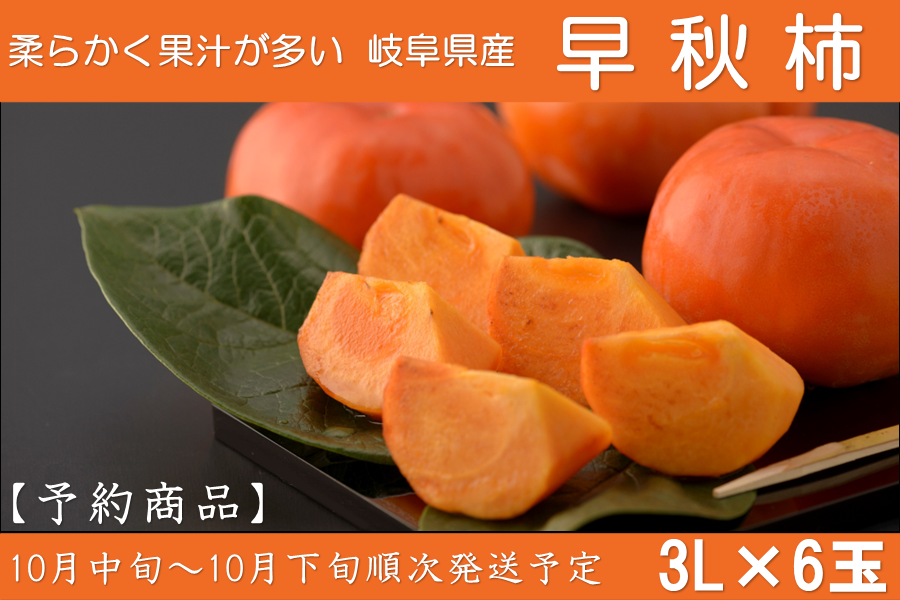予約】岐阜県産 早秋柿 3L×6玉入: 飛騨・美濃うまいもん広場|【JA