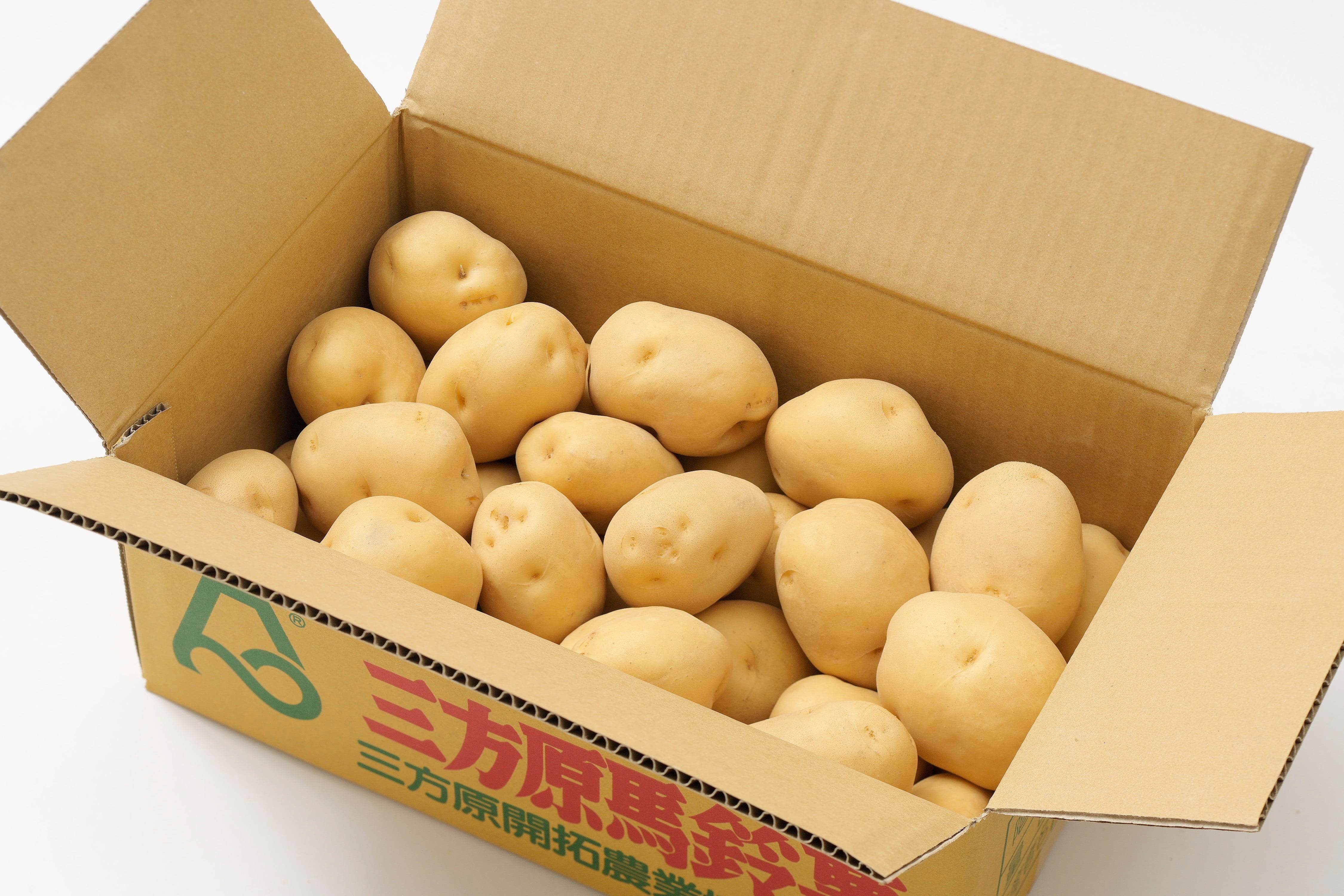 三方原馬鈴薯（男爵）10kg（5kg×2） Lサイズ JA三方原開拓