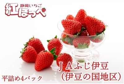 4P】静岡いちご「伊豆紅ほっぺ」 JAふじ伊豆≪2026年3月16日(月