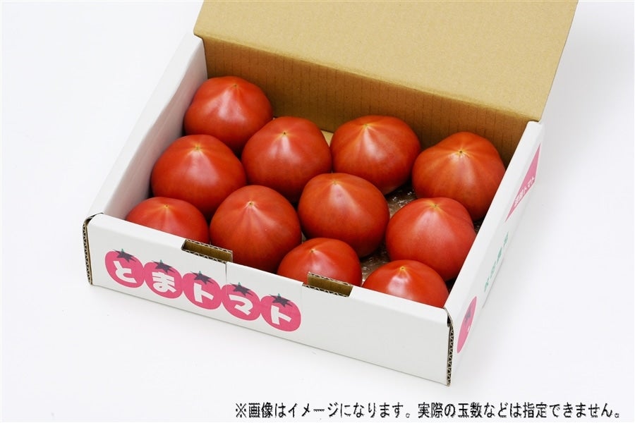 JA静岡市 とまトマト 1kg 箱入: ブランドショップ じまん館|【JA