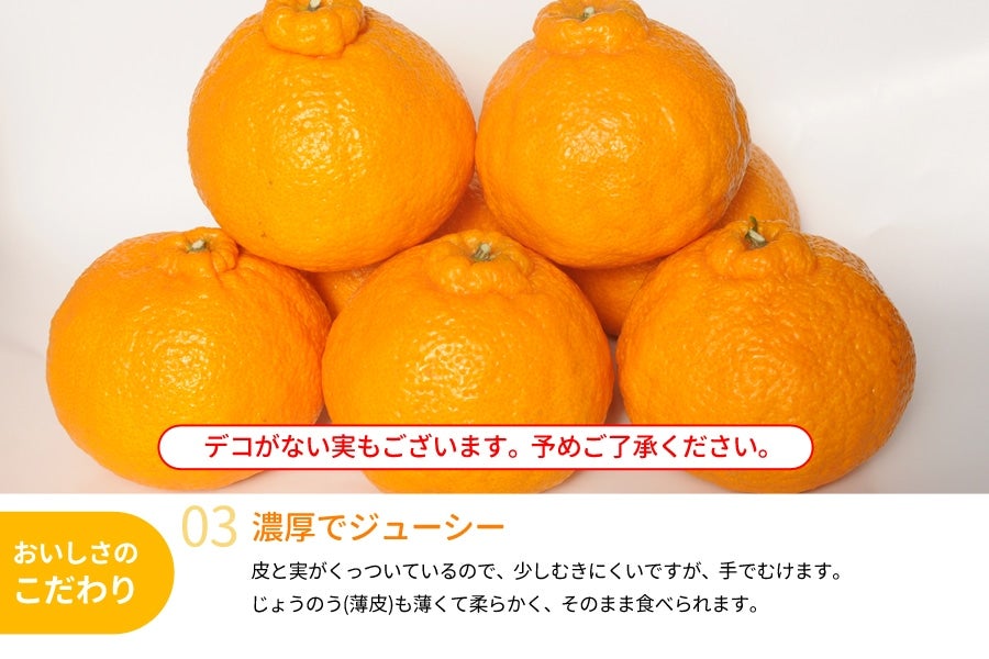 木熟 デコポン 約5kg（18～20玉入り） ＜2月中旬より順次発送＞(紀南