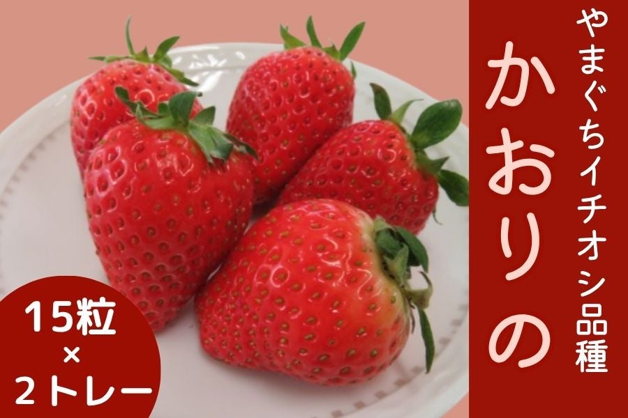 かおりの」いちご ☆ 12/15(月)～19(金)の間で順次発送: 正直やまぐち