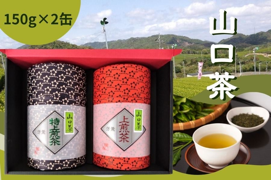 特上・上煎茶 ～ふるさとの味「山口茶」～: 正直やまぐち|【JAタウン